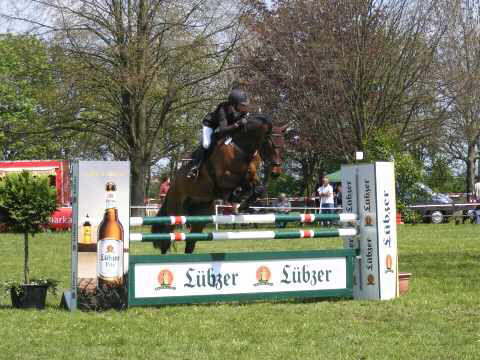 Turnier in Beesenstedt Turnier in Beesenstedt